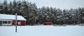 Stor skogsgallring i Alboga