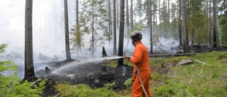 Skogsbrand i Monismanien