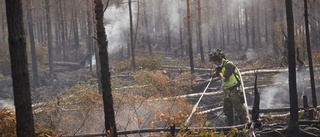 Östgötska brandbekämpare till Dalarna