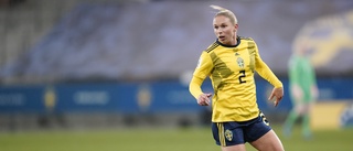 Sveriges VM-kvalönskan: Fler hörnmål