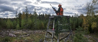 Färre anmälda jaktbrott i länet