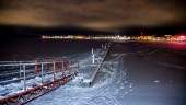 Bildextra: Nu är det fritt fram för isiga promenader i Norra hamn