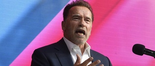 Arnold Schwarzenegger i krock med flera bilar