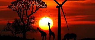 Så kan västs klimatkrav knäcka Afrika