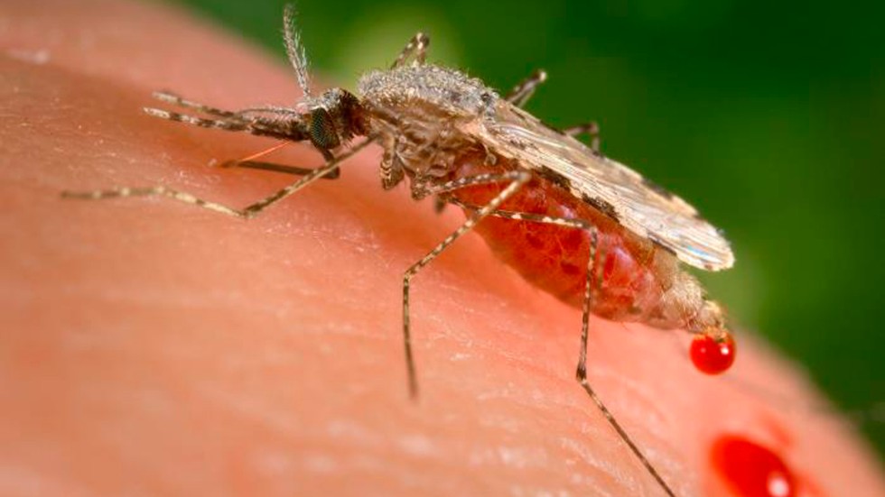 Malariasmittan kan bekämpas med ett nytt vaccin. Världen behöver nu vika pengar till att köpa doser till särskilt drabbade länder.