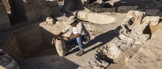 Arkeologer hittade 1 500 år gammal vingård