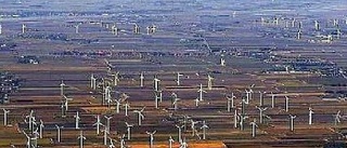 Är vindkraft lösningen på Sveriges elenergiproduktion?