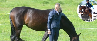 Hästbacka har köpt häst av Freskgård: "Min framtida stjärna"