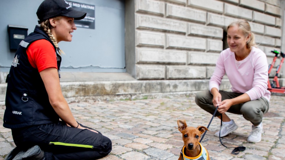 Amanda Skarstedt från Göteborgs hunddagis har överlämning av hunden Emil till matte Jessica Evebring. "Det känns skönt att få lämna till proffs och jag jobbar här i närheten", säger Jessica Evebring.