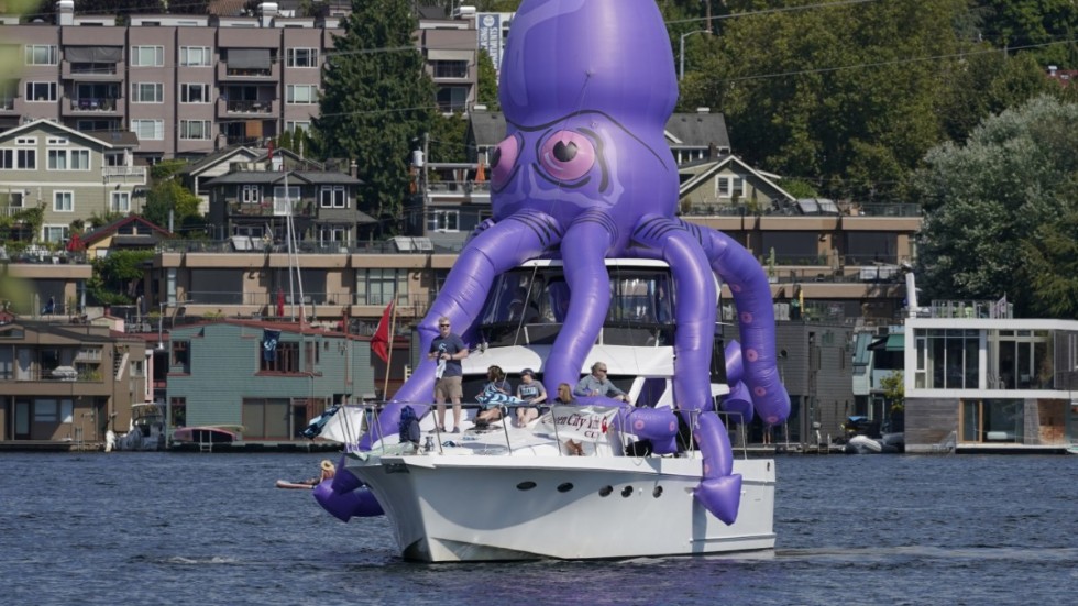 En bläckfiskliknande varelse, så kalkad kraken, blir Seattles klubbnamn och symbol. Här laddar supportrar i Seattle inför expansionsdraften.
