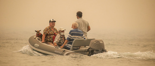 Turister flyr turkiska bränder med båt