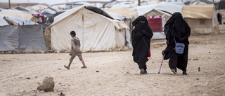 Frankrike hämtar kvinnor och barn från IS-läger