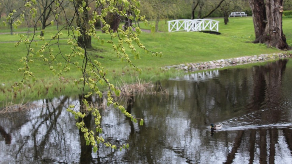 I slottsparken finns flera små dammar och en vacker bro.