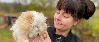 Hon startade ett kaninhem – och fick respons direkt: "Det sa bara pang"