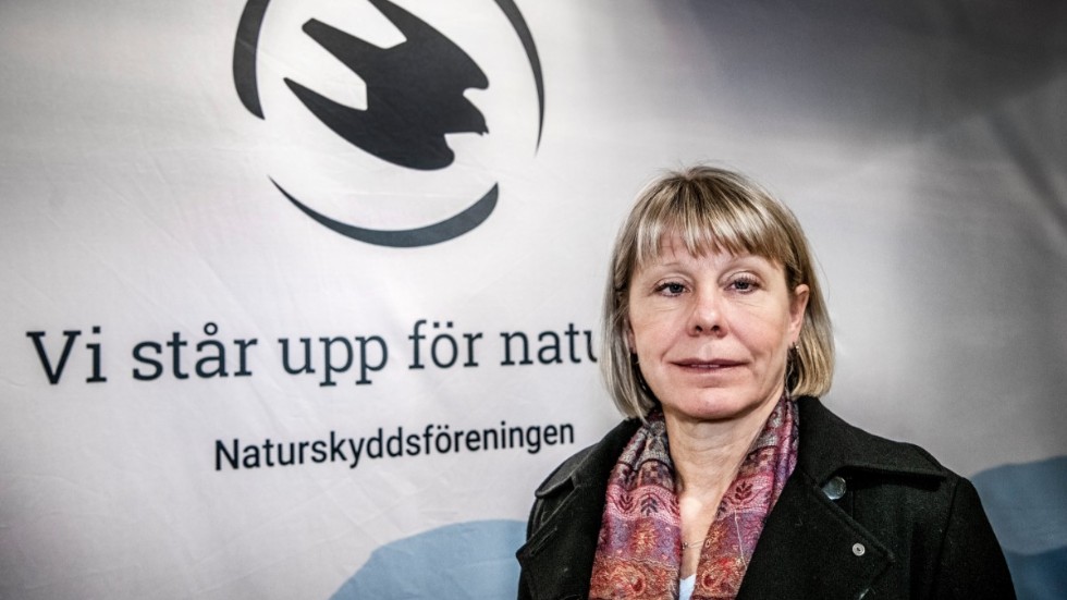 Karin Lexén är generalsekreterare i Naturskyddsföreningen och påskannandagens debattör i Folkbladet. 
