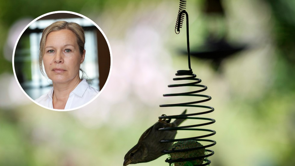  "Det är inte så att vi säger att man inte ska mata vilda fåglar utan det som gäller är att skydda de tama fåglarna", säger Katharina Gielen Tf. smittskyddschef på Jordbruksverket. 