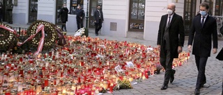 Österrike antar kontroversiell lag mot terror
