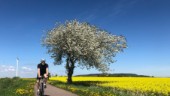 Omberg: Naturupplevelser både till fots och på cykel