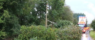 Träd föll över vägen söder om Nåntuna