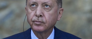 Domstol till Turkiet: Ändra förolämpningslag