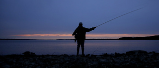 Nu görs kustfisketillsyn i Skellefteå kommun: ”För att se till att reglerna följs”