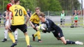 Direktsändning 7 nov: Notvikens IK - Friska Viljor FC