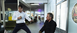 Serien "Cobra kai" klar för en femte säsong