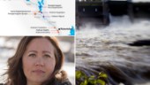 Här vill Skellefteå kraft stänga tre kraftverk: ”Det skulle förbättra vattenmiljön avsevärt”