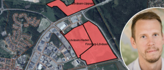 Detaljplan för Lövåsen har spikats: "Viktigt att ha planlagd mark för etablering av företag"