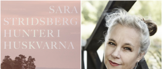 Sara Stridsbergs gåtfulla världar