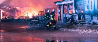 Brand i zoobutik i Lomma – djur innebrända