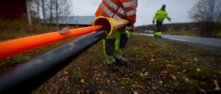 Störst ökning av bredband i Robertsfors