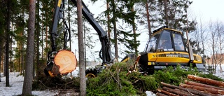 Därför är skogsägaren viktig för miljöpolitiken