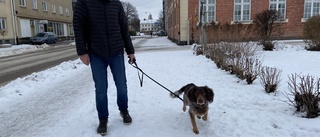 Fortfarande fler lyktstolpar än hundar i Nyköping – men jyckarna blir allt fler