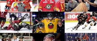 Tjecklista: Spelarna från Tjeckien som spelat i Luleå