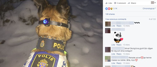 Hunden Mina räddade kvinnas liv