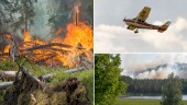 Varmare klimat: Så blir det med brandflyget i sommar