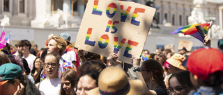 Polis: Vi har stoppat dåd mot prideparad i Wien