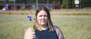 Blomplockare förstör för bönderna: "Går miste om mycket säd"