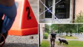 Polisens tekniker på plats på Ekön – tomhylsor hittades