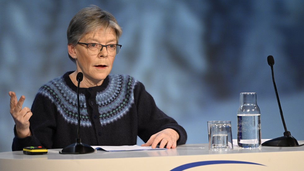 Gudrun Persson, forskningsledare Totalförsvarets forskningsinstitut säger att upproret kan få "enorma konsekvenser". Arkivbild.