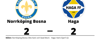 Norrköping Bosna fixade en poäng mot Haga