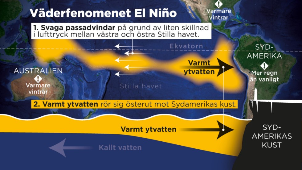 El Niño är ett väderfenomen som uppstår med ett intervall på två till sju år