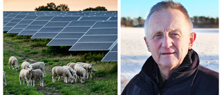 Danielsson: Solparker ger 15 gånger mer förnybar energi