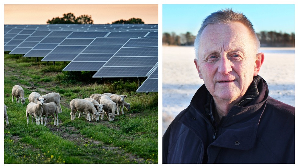 Staten vänder plötsligt 180 grader från att uppmana till pilskogar på åkermark till att samtidigt förbjuda solceller på samma åkermark, skriver förre riksdagspolitikern Staffan Danielsson.