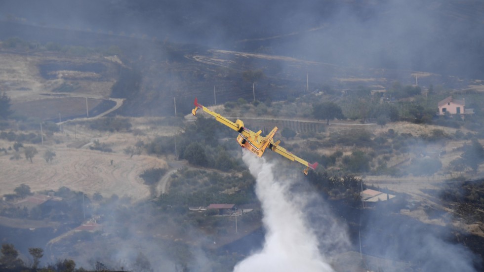 Ett flygplan av typen Canadair vid bränderna nära Palermo i Italien sommaren 2021. Arkivbild.