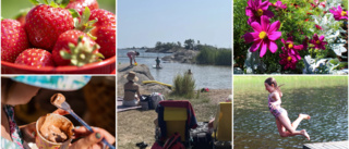 Här är läsarnas sommarbilder – skicka in bilder du med!