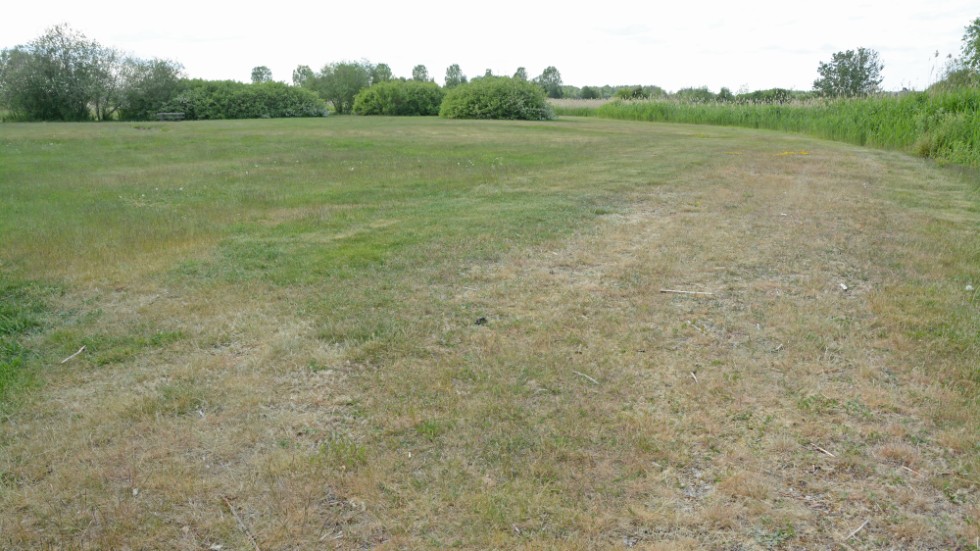 Gräset vid Ekeby våtmarkt är kortklippt som på en golfbana, i stället för att växa och skapa ängsmark, konstaterar insändarskribenten upprört.