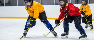 Ishockeyn dubbelt så dyr – vad betalar man för i Uppsala?