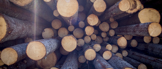 Industrins behov ska inte styra skogsägaren